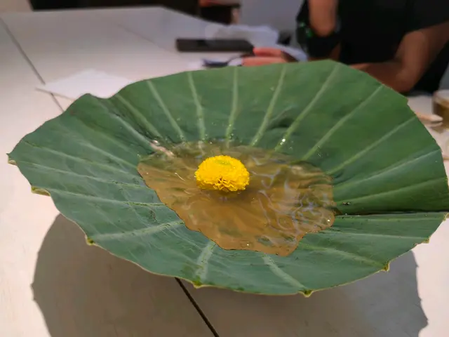 茉莉菊花雪梨凍