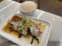 每日海上鮮套餐有蒸和煎的兩款揀,我們揀咗蒸的,今日是波𩶘,蒸魚豉油特別好味,落嘅熟油唔多,夠健康,但係夠味道。