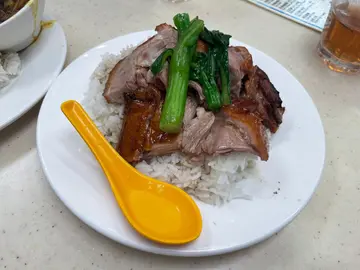 掛爐燒鴨飯（碟） 