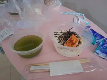 燒三文魚茶漬飯