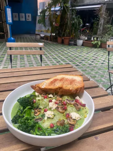 开心果青酱手工制云吞配酸种香草软包