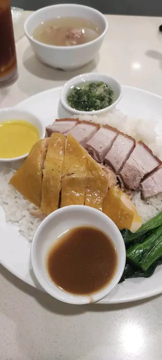 燒味雙拼飯