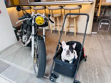 3BC TRI BREW CAFE — photo via OpenRice